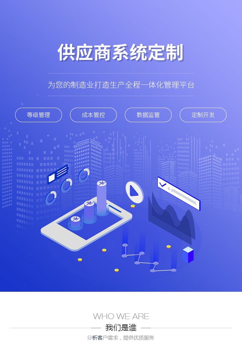 系统定制：企业成长的加速器